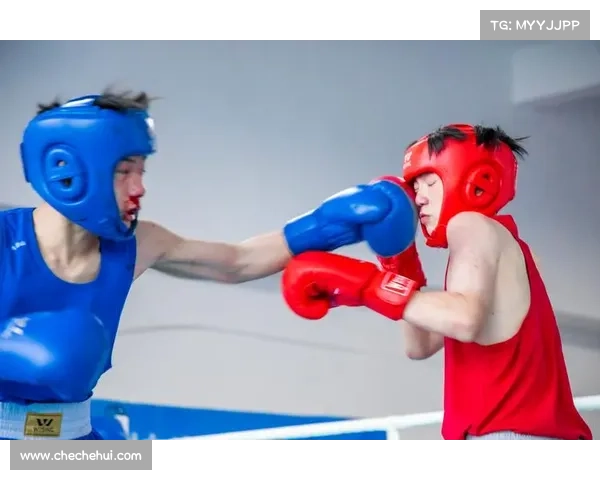 拳击的赛事组织,拳击比赛组织