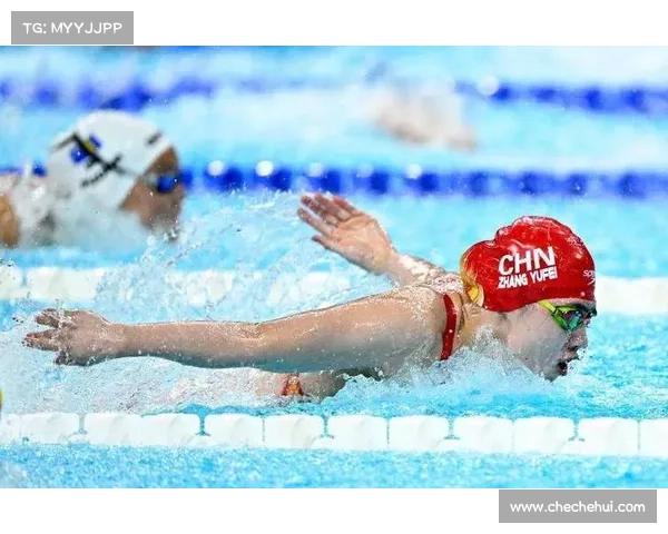 游泳最高赛事-游泳最高级别比赛