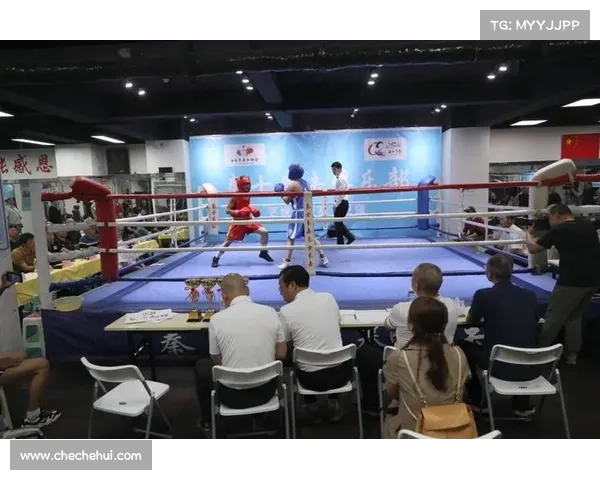 职业拳击最高赛事—职业拳击最高赛事是什么