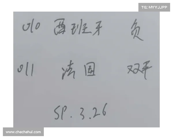 西班牙瑞士赛事分析论文