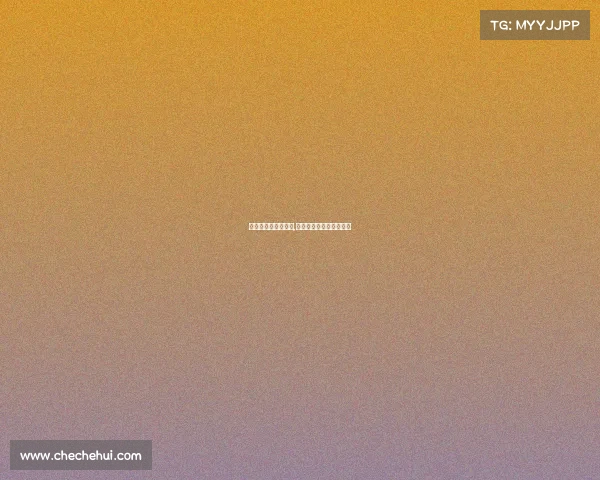 电子竞技员国家证书,电子竞技员国家证书查询