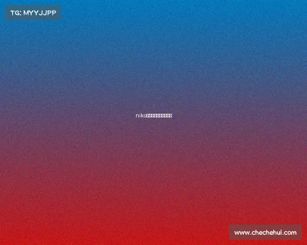 niko我将永远坚守电子竞技