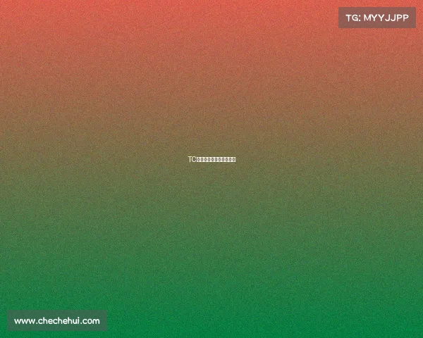 TC战队幕后掌舵人首度发声